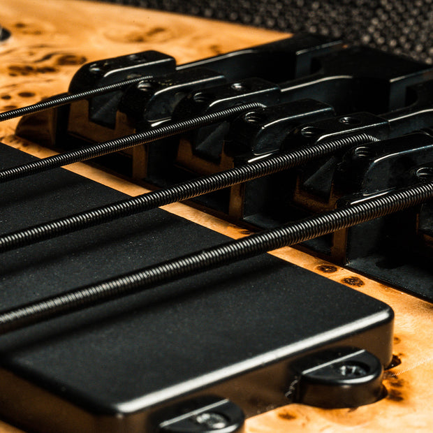 DR-Strings-Black-Beauties-Bass-Strings-Gal-1