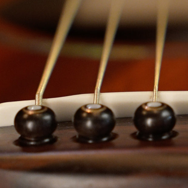 DR-Strings-Dragon-Skin-Acoustic-Coated-Phosphor-Bronze-Gal-1_94f6cb7e-c08f-4e86-af93-c38f1d108d80