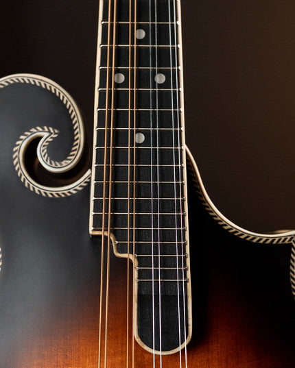 Dragon Skin+™ Phosphor Bronze Mandolin Strings