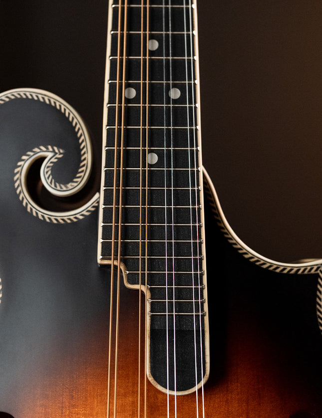 Dragon Skin+™ Phosphor Bronze Mandolin Strings