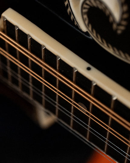 Dragon Skin+™ Phosphor Bronze Mandolin Strings