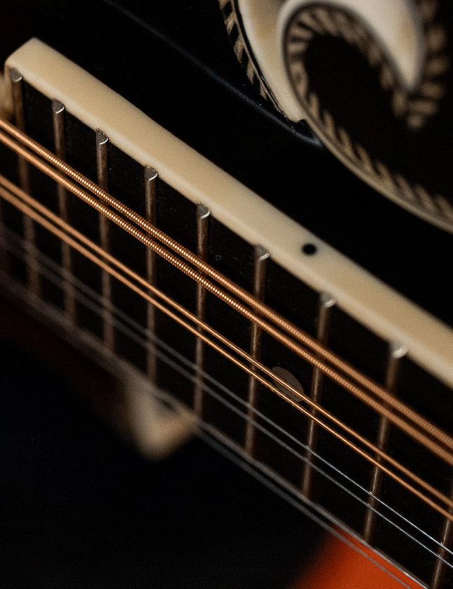 Dragon Skin+™ Phosphor Bronze Mandolin Strings