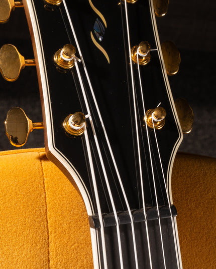 Hi-Def NEON™ Color Coated Acoustic Guitar Strings